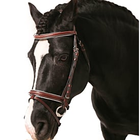Hanoverian Bridle with reins