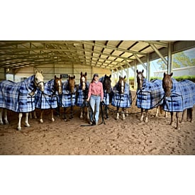 PVC SHADECLOTH COMBO