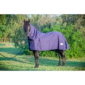 Blue Dog Unlined Combo