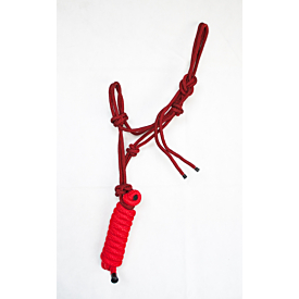 Rope Halter and Lead-4
