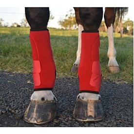 CE Horse Boots