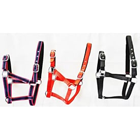Leather Padded Halter