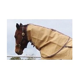 Stradbroke Neck Rug (Jute)-0